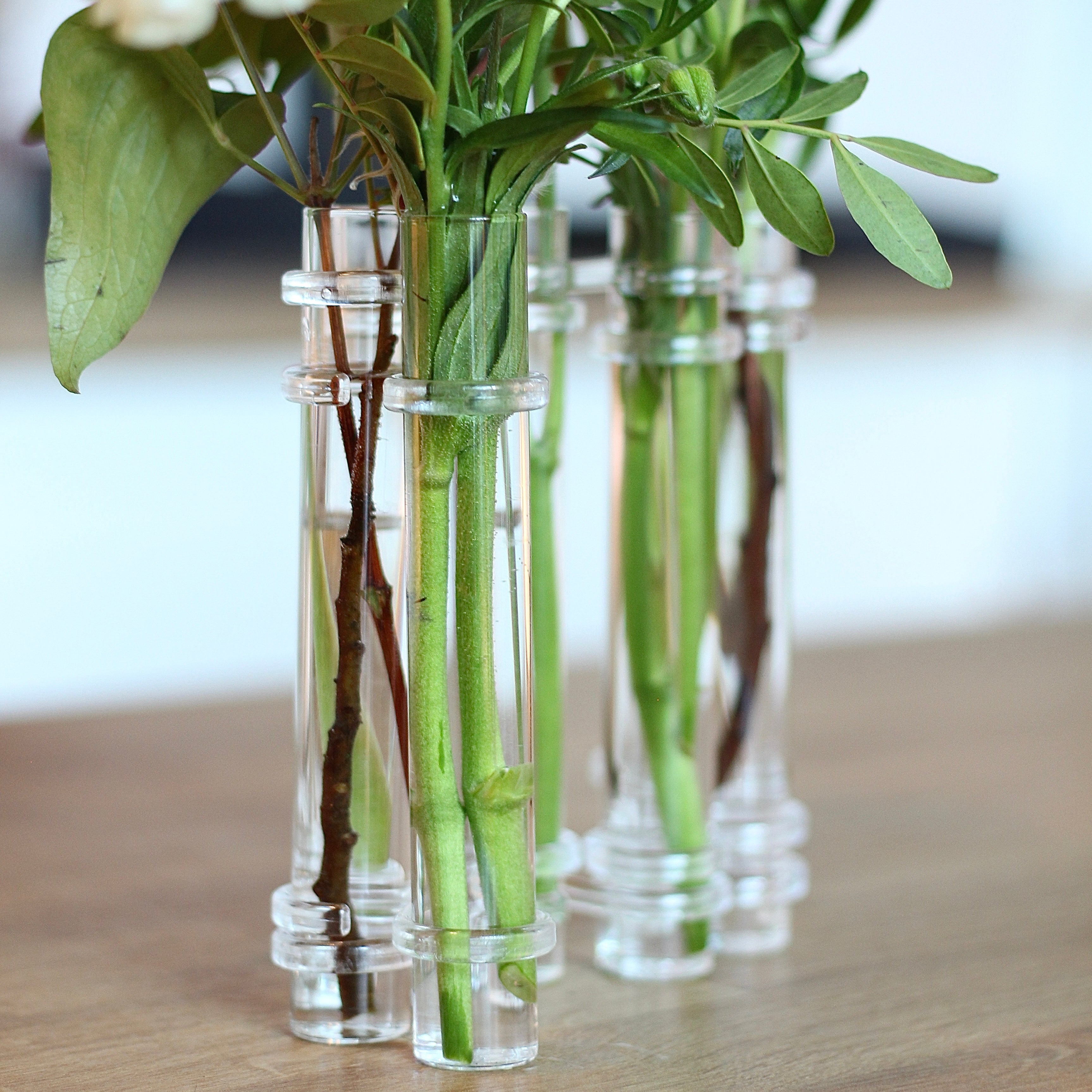 Elegant clear Flowerflute vase from Hanataba, showcasing a trio of stems with lush green foliage.