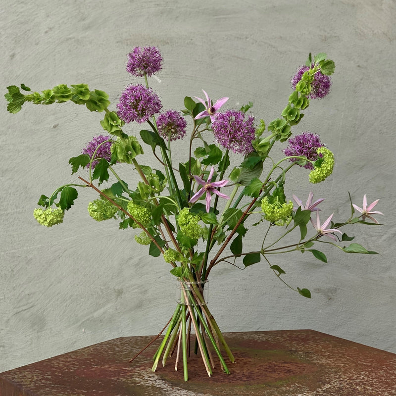 Hanataba Bouquet Twister zabezpiecza żywy wachlarz fioletowych alium i delikatnych różowych kwiatów na stonowanym tle ściany.