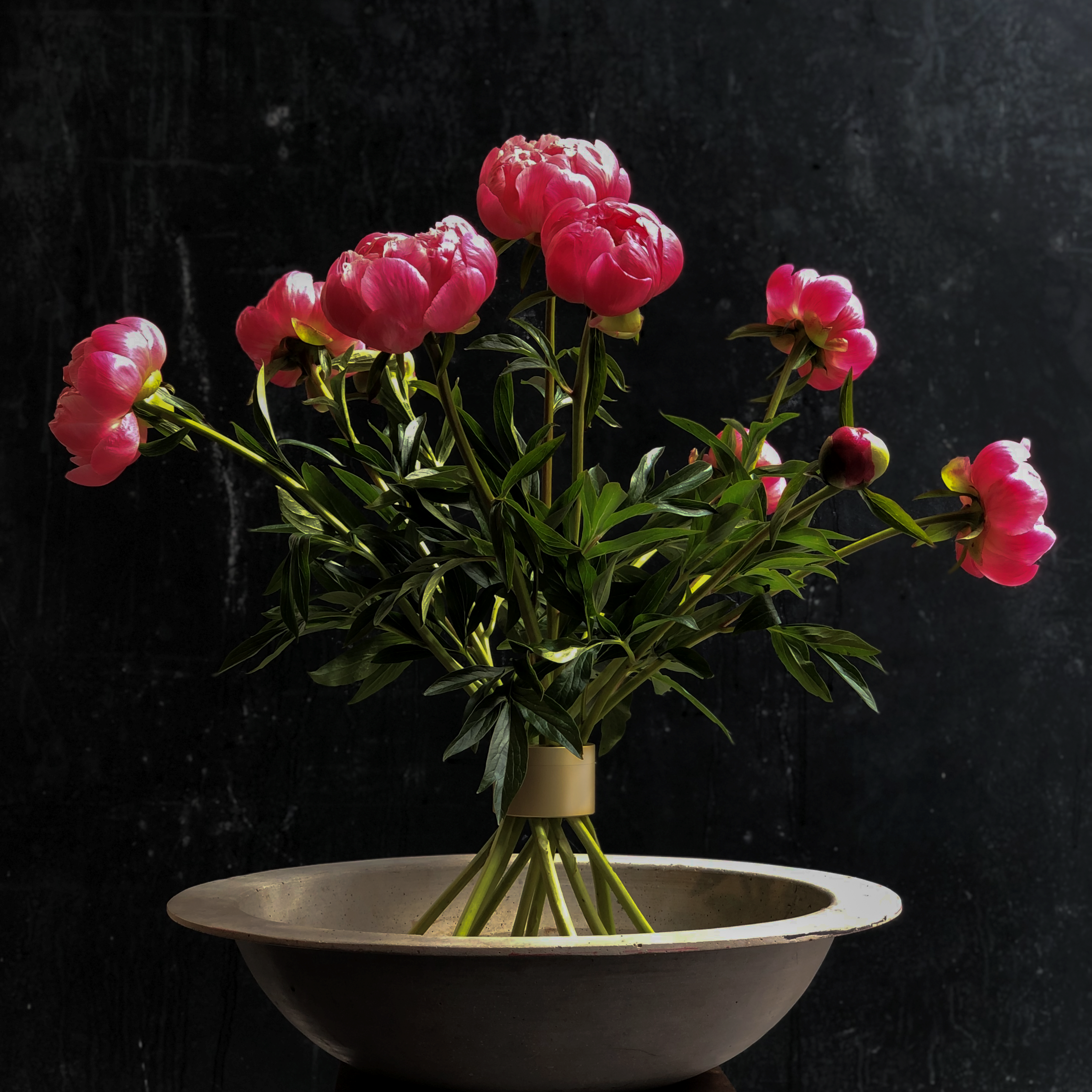 Vibrant pink peonies arranged in a Champagne Gold Hanataba bouquet twister set in a shallow bowl, against a dark textured backdrop.